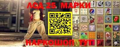 гидропоника Краснознаменск