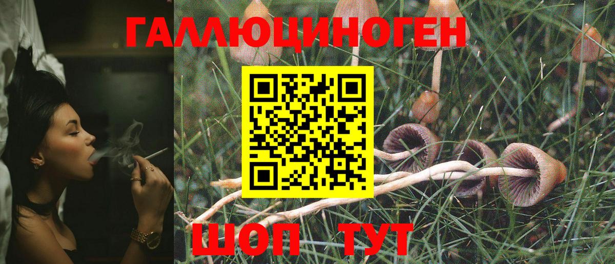 Галлюциногенные грибы MAGIC MUSHROOMS Ковров