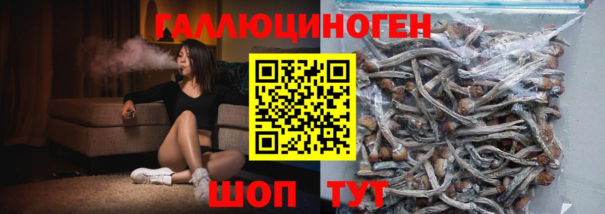 Ковров  Псилоцибиновые грибы Cubensis  магазин    Вход с VPN 